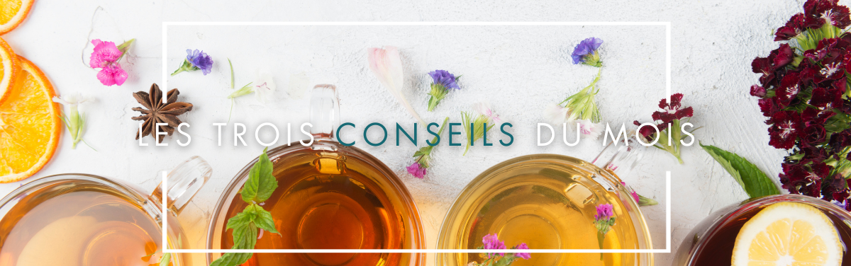 LES 3 CONSEILS DU MOIS